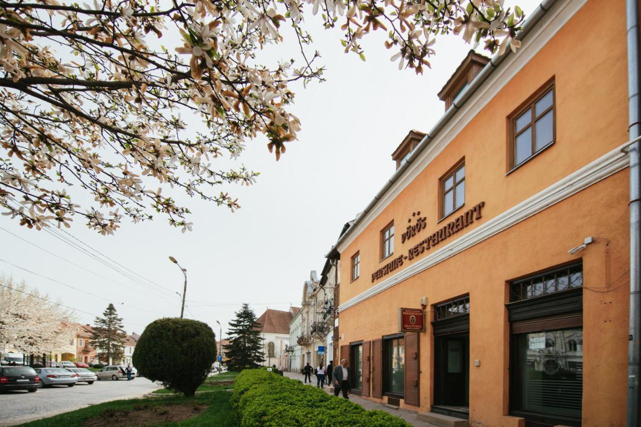 Voeroes Guest House Tîrgu Secuiesc エクステリア 写真
