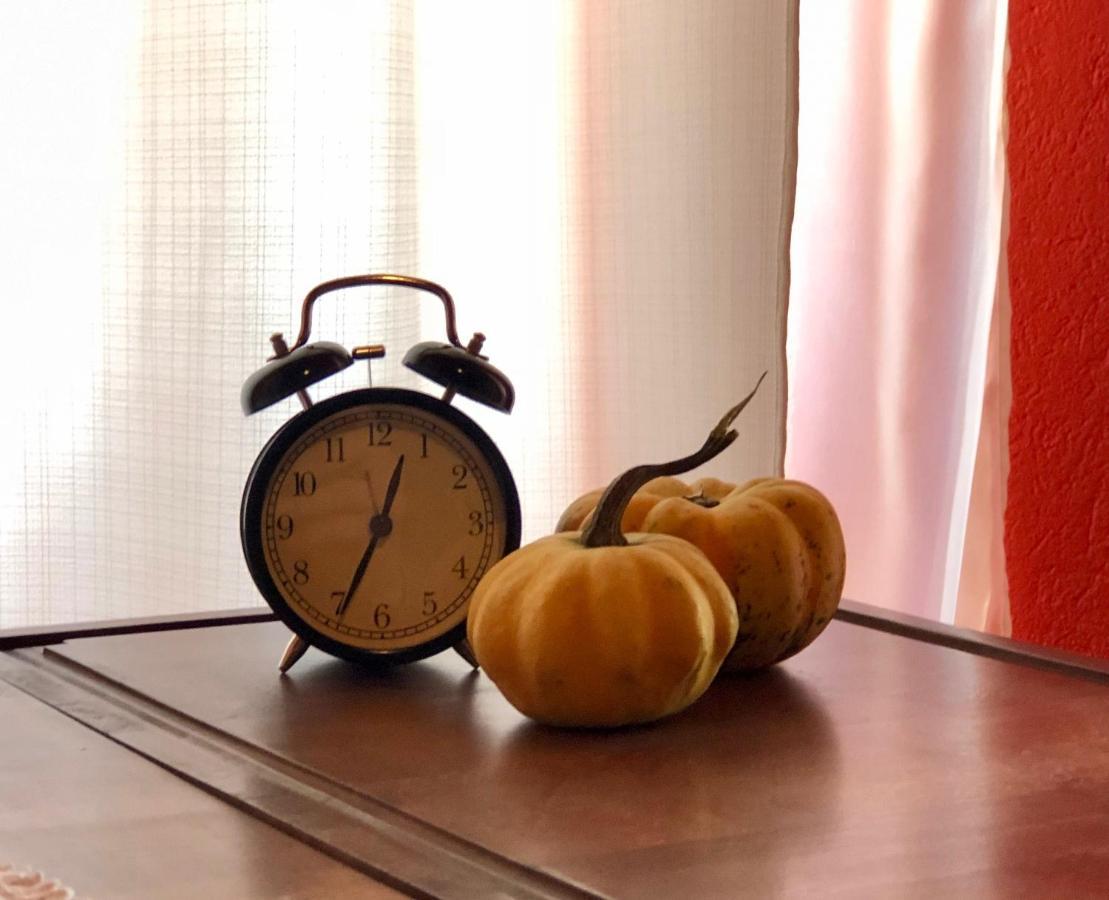 Voeroes Guest House Tîrgu Secuiesc エクステリア 写真