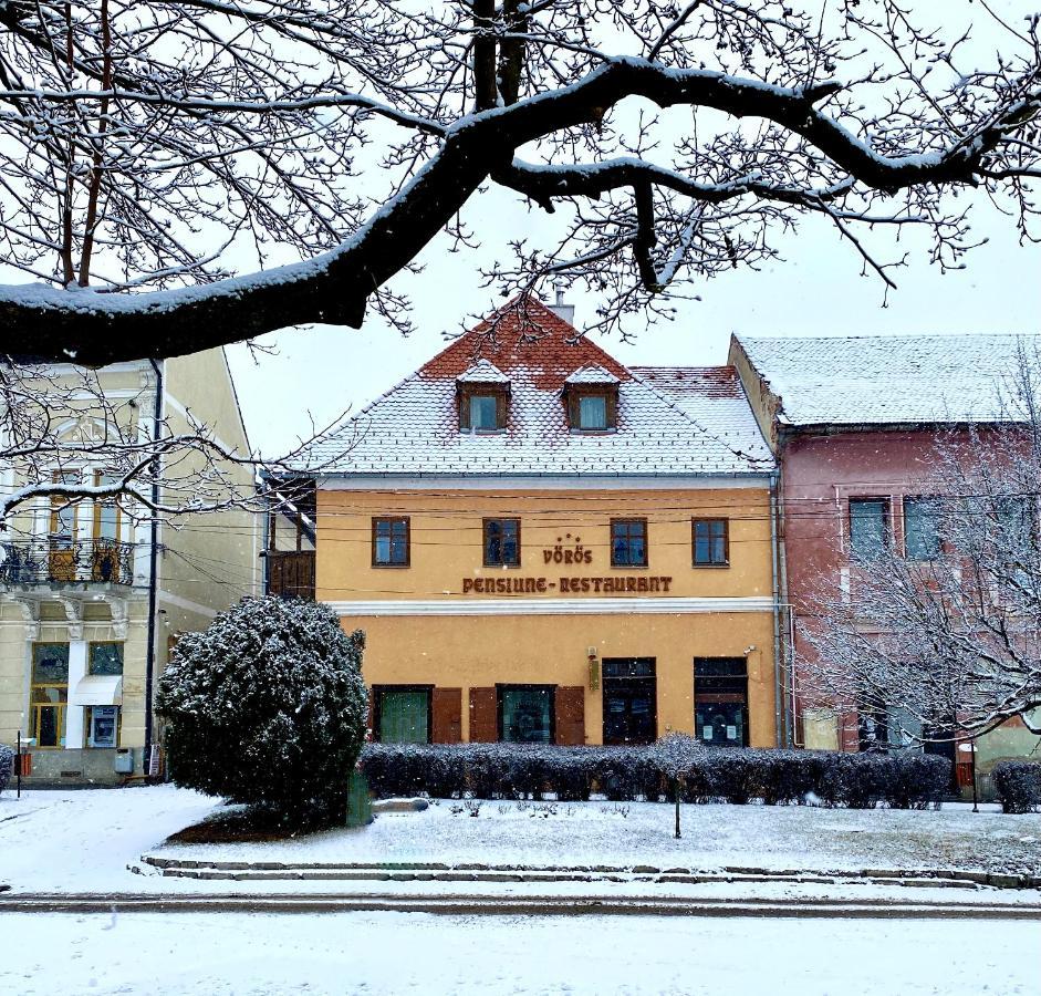 Voeroes Guest House Tîrgu Secuiesc エクステリア 写真