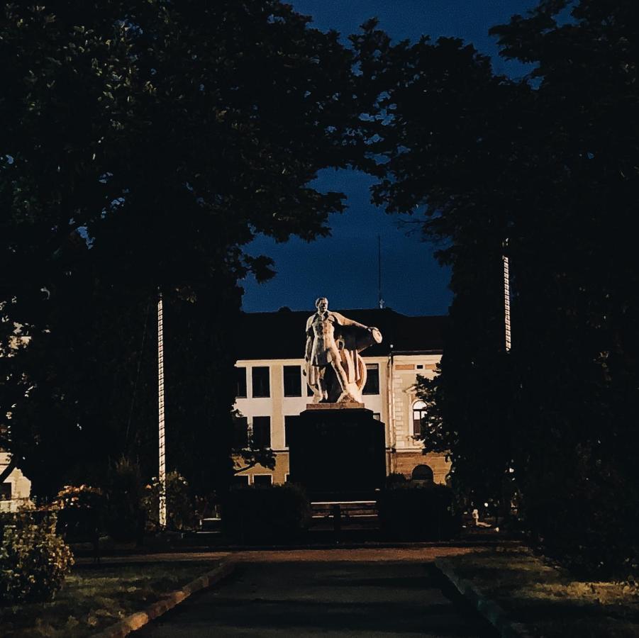 Voeroes Guest House Tîrgu Secuiesc エクステリア 写真